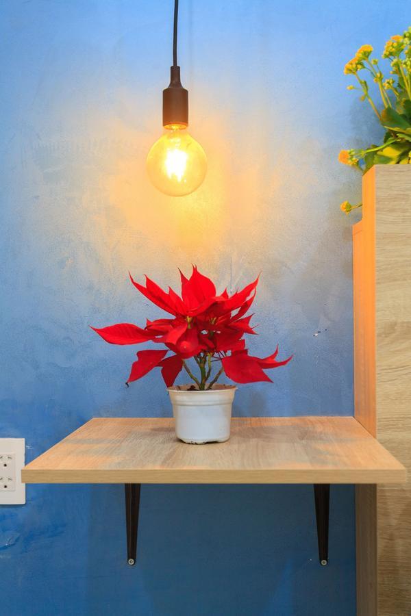 Staycious Homestay * TP. Hồ Chí Minh